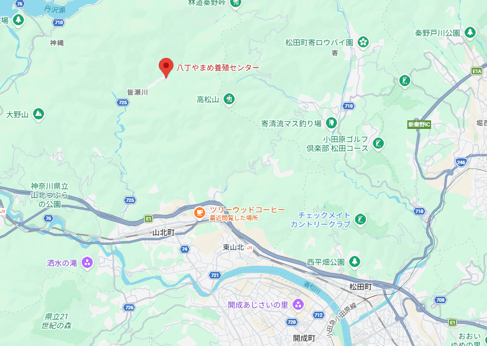 八丁やまめ養殖センター地図